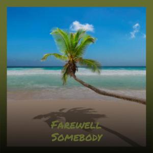 Album Farewell Somebody from 
