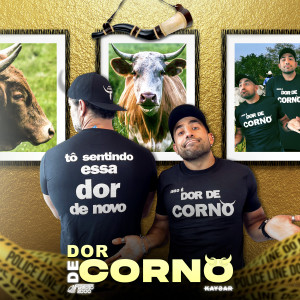 ดาวน์โหลดและฟังเพลง Dor de Corno พร้อมเนื้อเพลงจาก Furaçao 2000