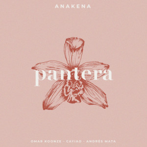 ดาวน์โหลดและฟังเพลง Pantera (Acústica) พร้อมเนื้อเพลงจาก Anakena
