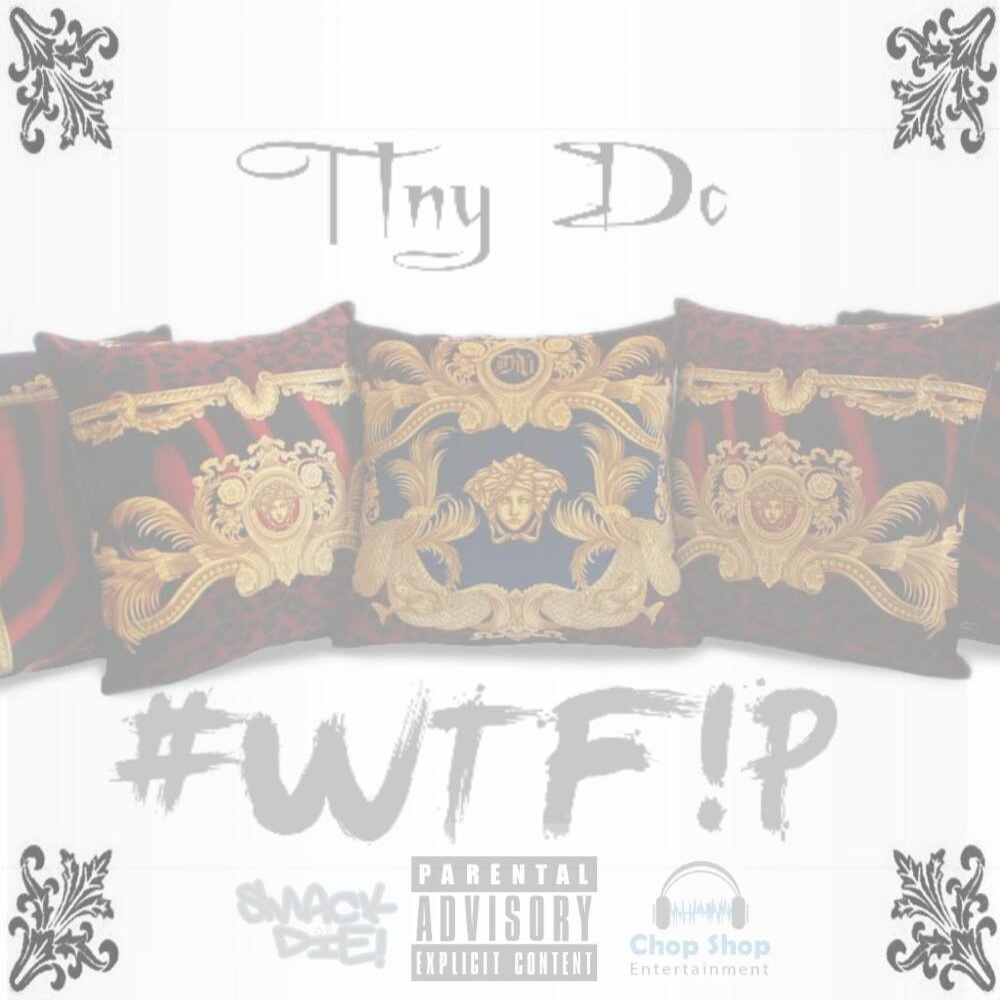 #WTF!P (What the Fuck Is a Pillow) (Explicit)