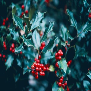 Listen to Coming Home for Christmas Time song with lyrics from Sandy Simmons