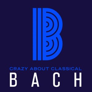 收聽The Russian Symphony Orchestra的J.S. Bach: Brandenburg Concerto No.5 in D Major, BWV1050: I. Allegro歌詞歌曲