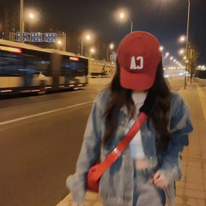 Album 灿烂 from 洛诗霖