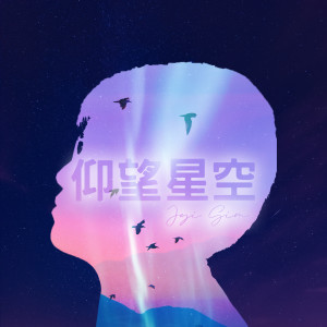 Jyi Sim的專輯仰望星空