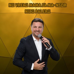 Listen to Nu vreau mama sa ma-nsor song with lyrics from Nicu Paleru