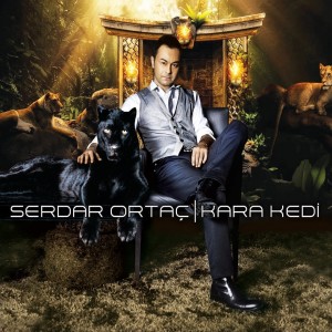Listen to Kara Kedi song with lyrics from Serdar Ortaç