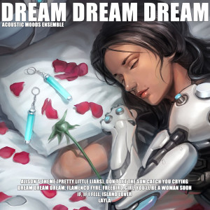 Acoustic Moods Ensemble的专辑Dream Dream Dream