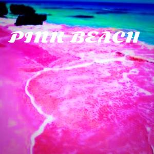 ดาวน์โหลดและฟังเพลง P!NK beach พร้อมเนื้อเพลงจาก Ihatesunday