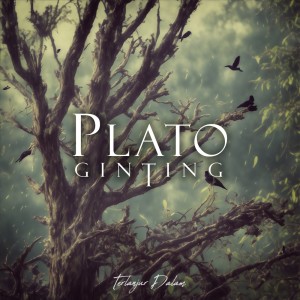 收听Plato Ginting的Terlanjur Dalam歌词歌曲