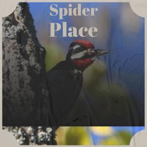 Listen to Earn Whereby song with lyrics from Jamed Sway