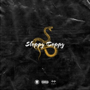 Album Sloppy Toppy (Explicit) from Carvo Cardo