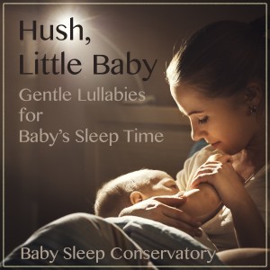 อัลบัม Hush, Little Baby (Gentle Lullabies for Baby's Sleep Time) ศิลปิน Teddy Aspra