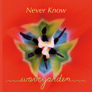 Dengarkan Never Know lagu dari Wavegarden dengan lirik