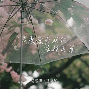 Album 我愿意为我的选择买单 from 吴瑞斯