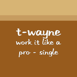 Work It Like a Pro (Explicit) dari T-Wayne