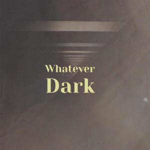 收聽Biig Funa的Whatever Dark歌詞歌曲