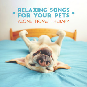 Listen to Relaxing Songs for Your Pets song with lyrics from Calm Pets Music Academy