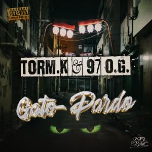 ดาวน์โหลดและฟังเพลง Gato Pardo (feat. 97 O.G.) (Explicit) พร้อมเนื้อเพลงจาก Torm.K