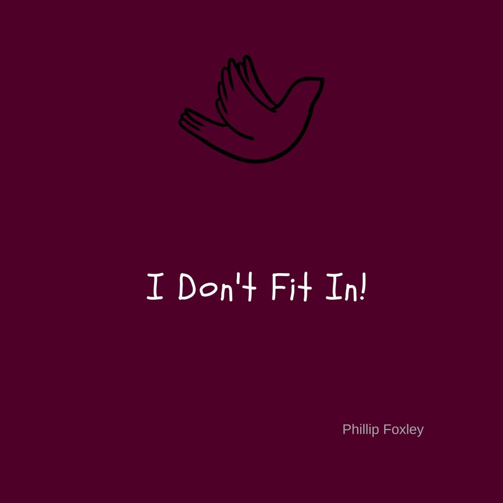 I Don't Fit In (Original Version)