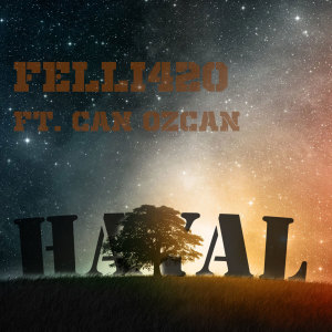 Listen to Hayal song with lyrics from Felli420