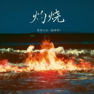 Album 灼烧 from 菲菲公主