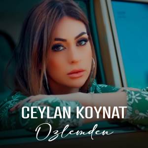 Album Özlemden from 
