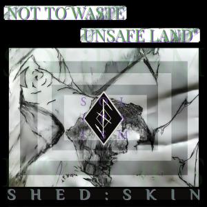 ดาวน์โหลดและฟังเพลง Not To Waste พร้อมเนื้อเพลงจาก Shed Skin