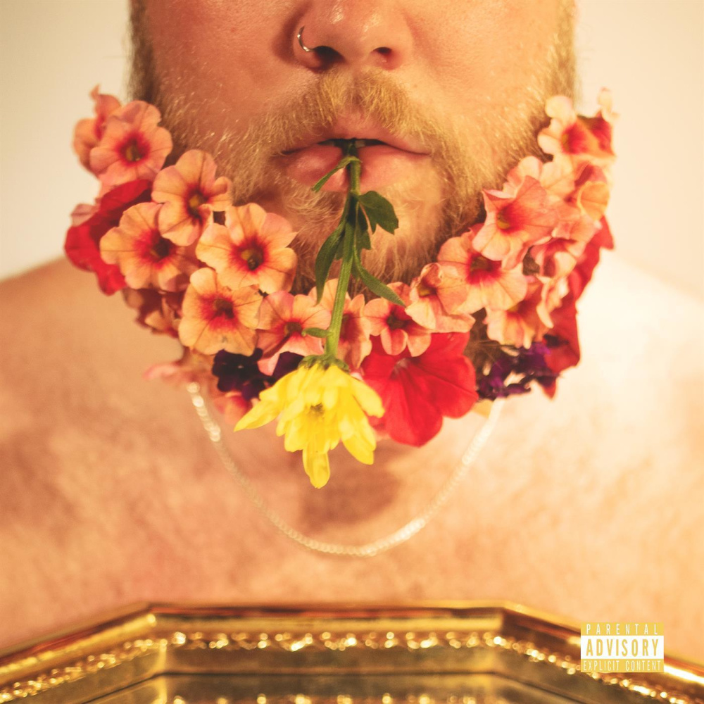 I HOPE THEY DON'T LET YOU DOWN (Explicit)