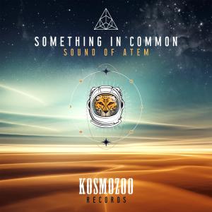 ดาวน์โหลดและฟังเพลง Something In Common พร้อมเนื้อเพลงจาก Sound of ATEM