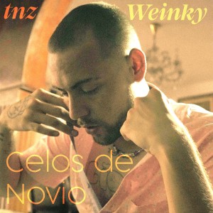 ดาวน์โหลดและฟังเพลง Celos de Novio พร้อมเนื้อเพลงจาก TNZ