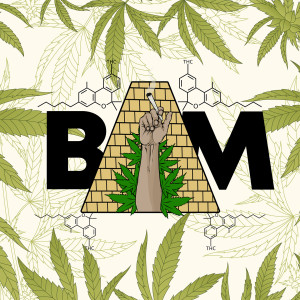 Listen to Bam (Explicit) song with lyrics from Jack Gomorra
