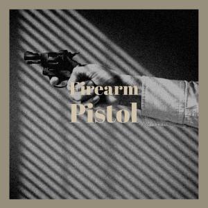 Listen to Firearm Pistol song with lyrics from Bich Aino