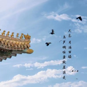 收听南小希的又见月满西楼 (完整版)歌词歌曲