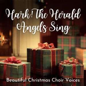 Westminster Cathedral Choir的专辑Hark! The Herald Angels Sing: Beautiful Christmas Choir Voices