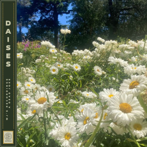 mj's recordings的專輯Daises