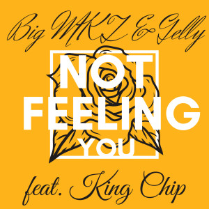 ดาวน์โหลดและฟังเพลง Not Feeling You (Explicit) พร้อมเนื้อเพลงจาก Big MKZ