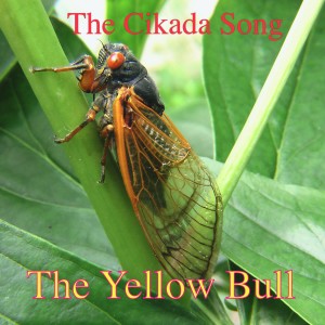 The Yellow Bulls的專輯The Cikada Song
