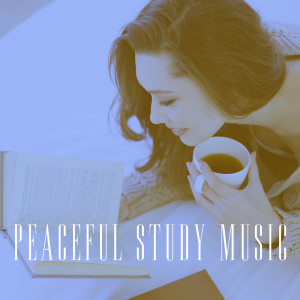 Peaceful Study Music