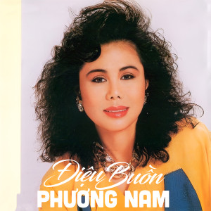 Thanh Tuyền的專輯Điệu Buồn Phương Nam