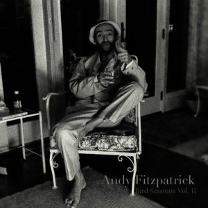ดาวน์โหลดและฟังเพลง Sleeping Alone at Night พร้อมเนื้อเพลงจาก Andy Fitzpatrick