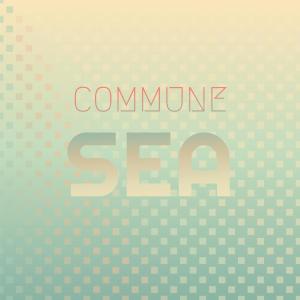 Various的专辑Commune Sea