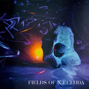 收聽FIELDS OF NÆCLUDA的Cannot歌詞歌曲