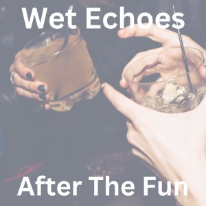 收聽Wet Echoes的After The Fun歌詞歌曲