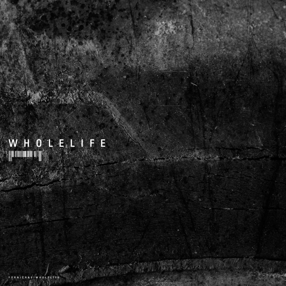 Whole Life (Explicit)