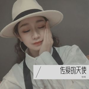 Listen to 传爱的天使 (伴奏) song with lyrics from 琦不凡