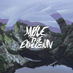 Album หวังว่า... from Møle The Explosion