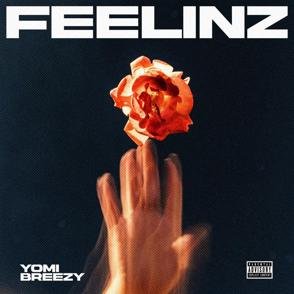 Feelinz (Explicit)