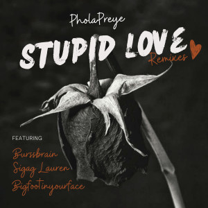 ดาวน์โหลดและฟังเพลง Stupid Love (Bigfootinyourface D&B Mix) พร้อมเนื้อเพลงจาก PholaPreye