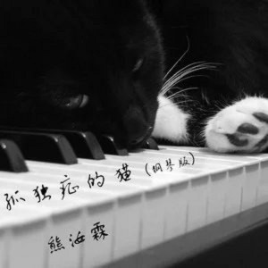 收聽熊汝霖的孤獨症的貓(鋼琴演唱版)歌詞歌曲