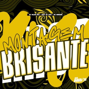 Album Montagem Brisante (Explicit) oleh DJ WLZIN 062